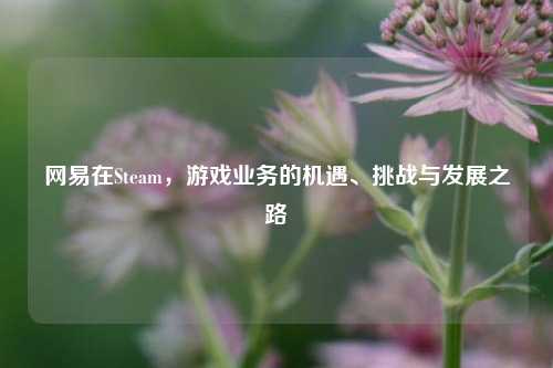 网易在Steam，游戏业务的机遇、挑战与发展之路