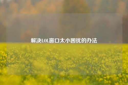 解决LOL窗口太小困扰的办法