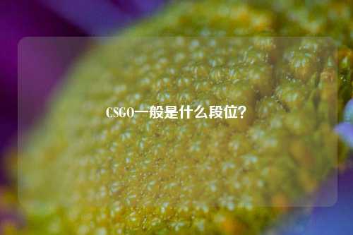 CSGO一般是什么段位？