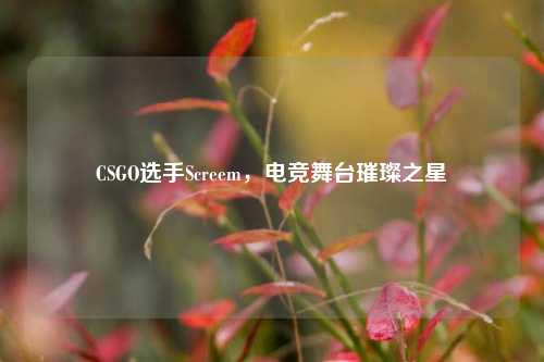 CSGO选手Screem，电竞舞台璀璨之星
