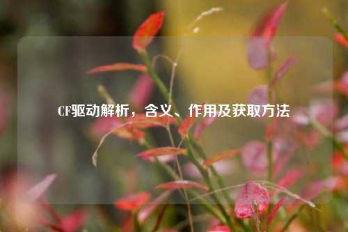 CF驱动解析，含义、作用及获取方法