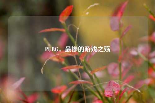PUBG,最惨的游戏之殇