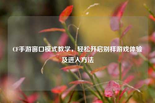 CF手游窗口模式教学，轻松开启别样游戏体验及进入方法