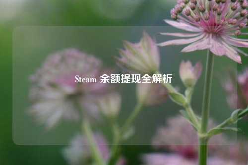 Steam 余额提现全解析