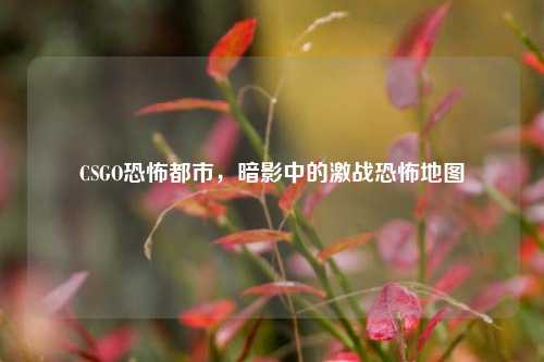 CSGO恐怖都市，暗影中的激战恐怖地图