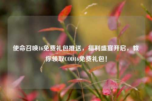 使命召唤16免费礼包推送，福利盛宴开启，教你领取COD16免费礼包！