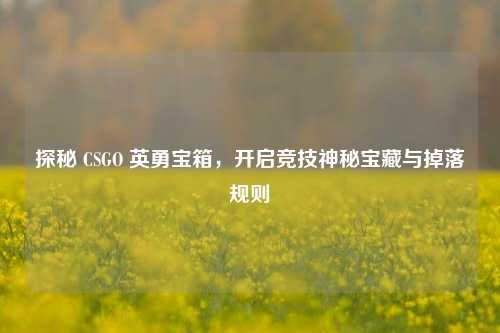 探秘 CSGO 英勇宝箱,开启竞技神秘宝藏与掉落规则