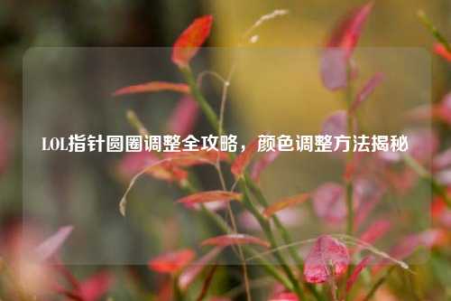 LOL指针圆圈调整全攻略，颜色调整方法揭秘