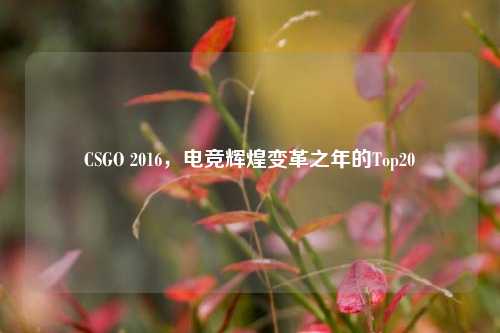 CSGO 2016，电竞辉煌变革之年的Top20