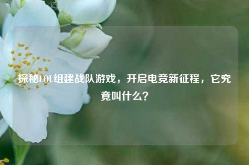 探秘LOL组建战队游戏，开启电竞新征程，它究竟叫什么？