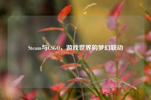 Steam与CSGO，游戏世界的梦幻联动