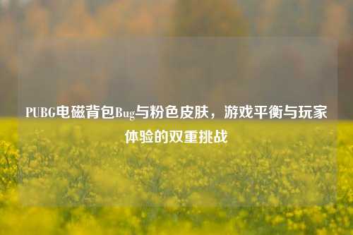 PUBG电磁背包Bug与粉色皮肤，游戏平衡与玩家体验的双重挑战