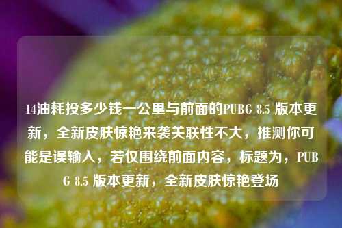 14油耗投多少钱一公里与前面的PUBG 8.5 版本更新，全新皮肤惊艳来袭关联性不大，推测你可能是误输入，若仅围绕前面内容，标题为，PUBG 8.5 版本更新，全新皮肤惊艳登场