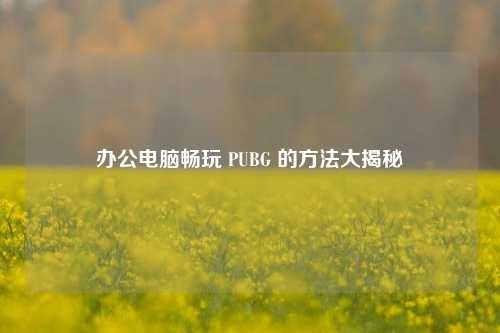 办公电脑畅玩 PUBG 的方法大揭秘