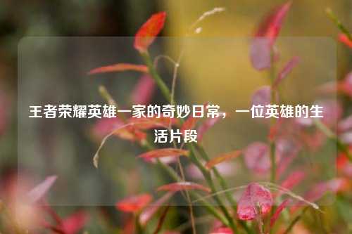 王者荣耀英雄一家的奇妙日常,一位英雄的生活片段