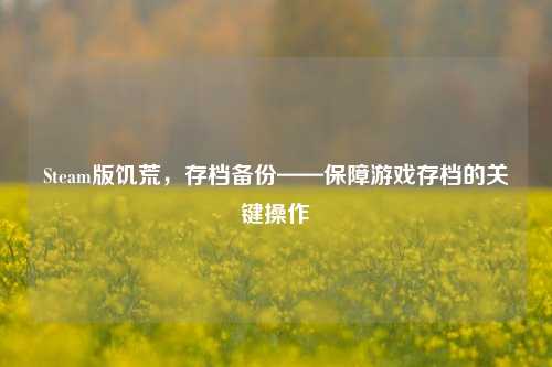 Steam版饥荒,存档备份——保障游戏存档的关键操作
