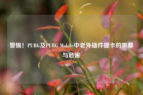 警惕！PUBG及PUBG Mobile中老外插件提卡的黑幕与危害