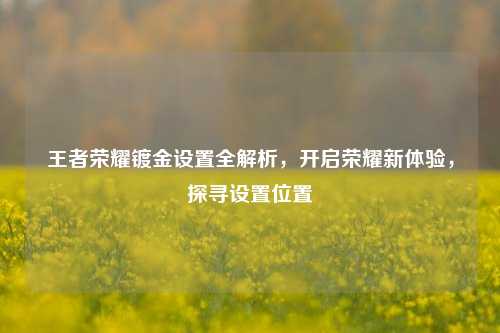 王者荣耀镀金设置全解析,开启荣耀新体验,探寻设置位置