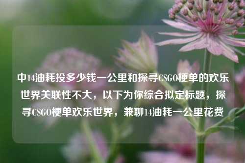 中14油耗投多少钱一公里和探寻CSGO梗单的欢乐世界关联性不大,以下为你综合拟定标题,探寻CSGO梗单欢乐世界,兼聊14油耗一公里花费