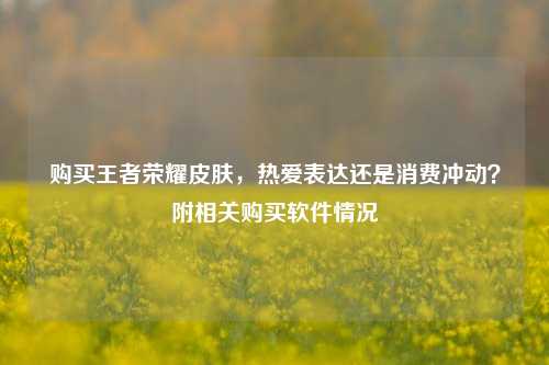 购买王者荣耀皮肤，热爱表达还是消费冲动？附相关购买软件情况