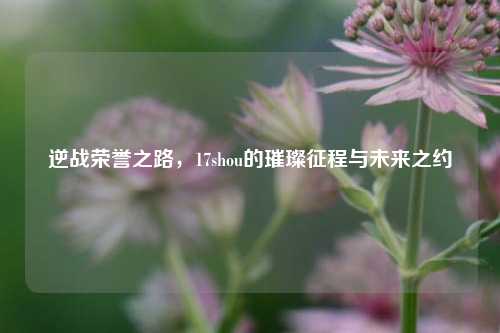 逆战荣誉之路，17shou的璀璨征程与未来之约