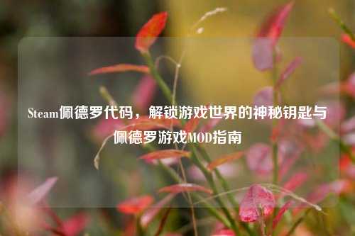 Steam佩德罗代码，解锁游戏世界的神秘钥匙与佩德罗游戏MOD指南