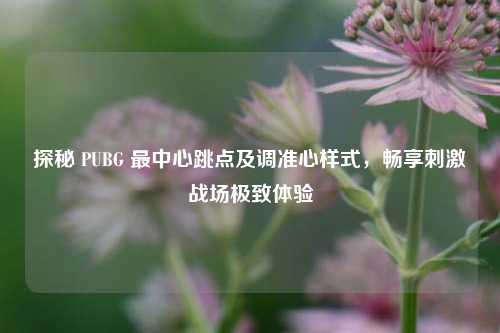 探秘 PUBG 最中心跳点及调准心样式,畅享刺激战场极致体验