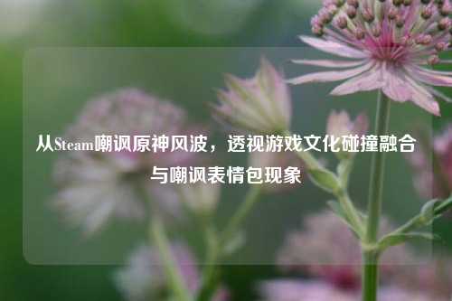 从Steam嘲讽原神风波，透视游戏文化碰撞融合与嘲讽表情包现象