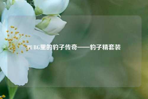PUBG里的豹子传奇——豹子精套装