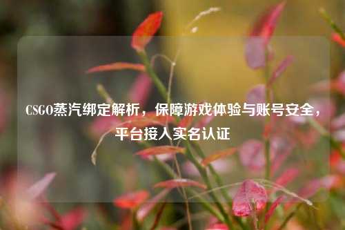 CSGO蒸汽绑定解析，保障游戏体验与账号安全，平台接入实名认证