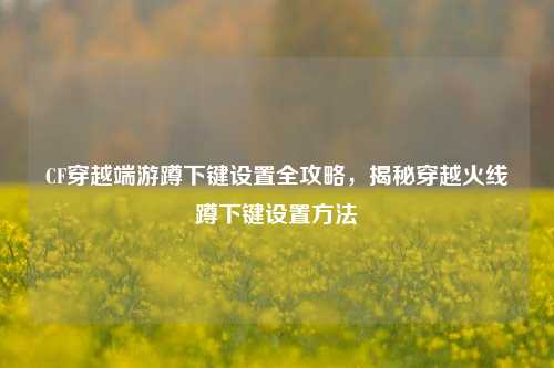 CF穿越端游蹲下键设置全攻略，揭秘穿越火线蹲下键设置方法