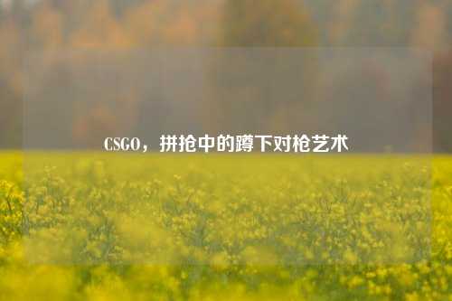 CSGO,拼抢中的蹲下对枪艺术