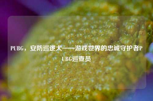 PUBG,安防巡逻犬——游戏世界的忠诚守护者PUBG巡查员