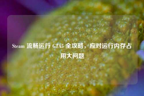 Steam 流畅运行 GTA5 全攻略,应对运行内存占用大问题
