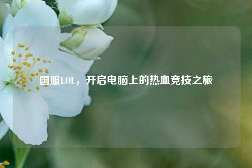 国服LOL，开启电脑上的热血竞技之旅