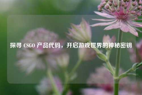 探寻 CSGO 产品代码，开启游戏世界的神秘密钥