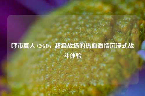 呼市真人 CSGO，超级战场的热血激情沉浸式战斗体验