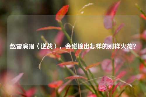 赵雷演唱〈逆战〉，会碰撞出怎样的别样火花？