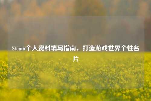 Steam个人资料填写指南，打造游戏世界个性名片