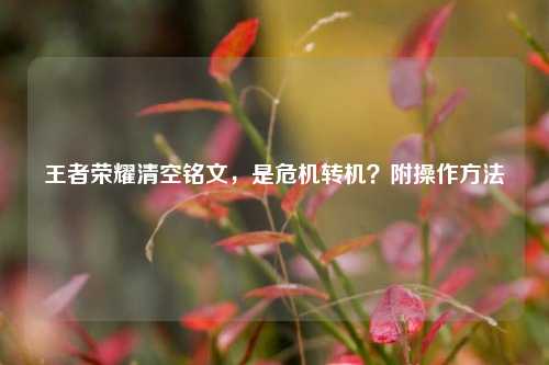 王者荣耀清空铭文，是危机转机？附操作方法