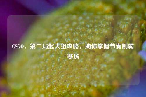 CSGO,第二局起大狙攻略,助你掌握节奏制霸赛场