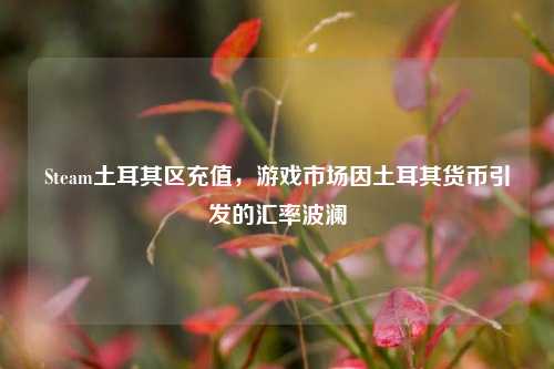 Steam土耳其区充值,游戏市场因土耳其货币引发的汇率波澜
