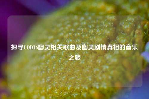 探寻COD16幽灵相关歌曲及幽灵剧情真相的音乐之旅