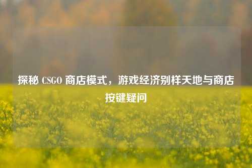 探秘 CSGO 商店模式，游戏经济别样天地与商店按键疑问