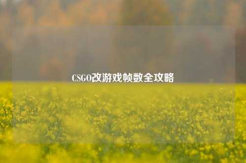CSGO改游戏帧数全攻略