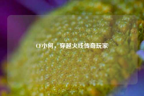 CF小何，穿越火线传奇玩家