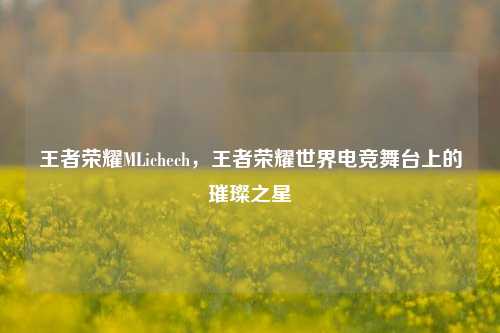 王者荣耀MLichech,王者荣耀世界电竞舞台上的璀璨之星