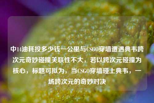 中14油耗投多少钱一公里与CSGO穿墙遭遇典韦跨次元奇妙碰撞关联性不大,若以跨次元碰撞为核心,标题可拟为,当CSGO穿墙碰上典韦,一场跨次元的奇妙对决