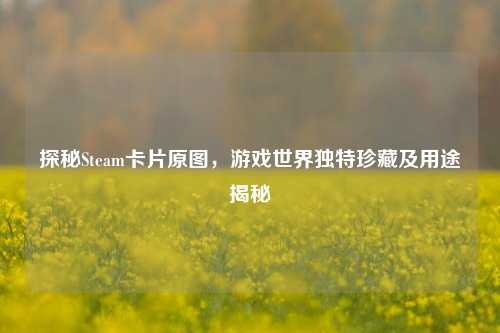探秘Steam卡片原图，游戏世界独特珍藏及用途揭秘