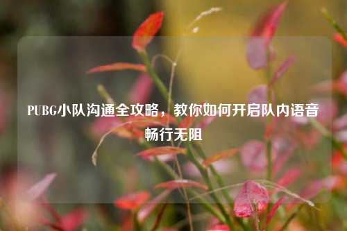 PUBG小队沟通全攻略，教你如何开启队内语音畅行无阻